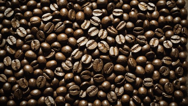 Discover top-quality coffee beans for every taste